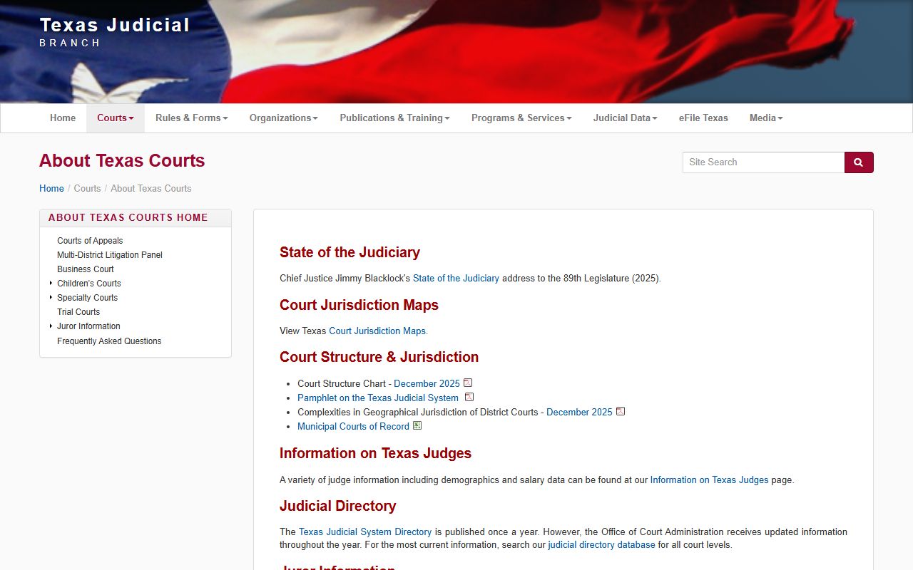 Texas court structure overview used for Tarrant County Court records